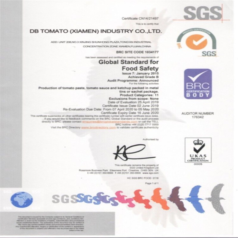 การทดสอบ เอสจีเอส