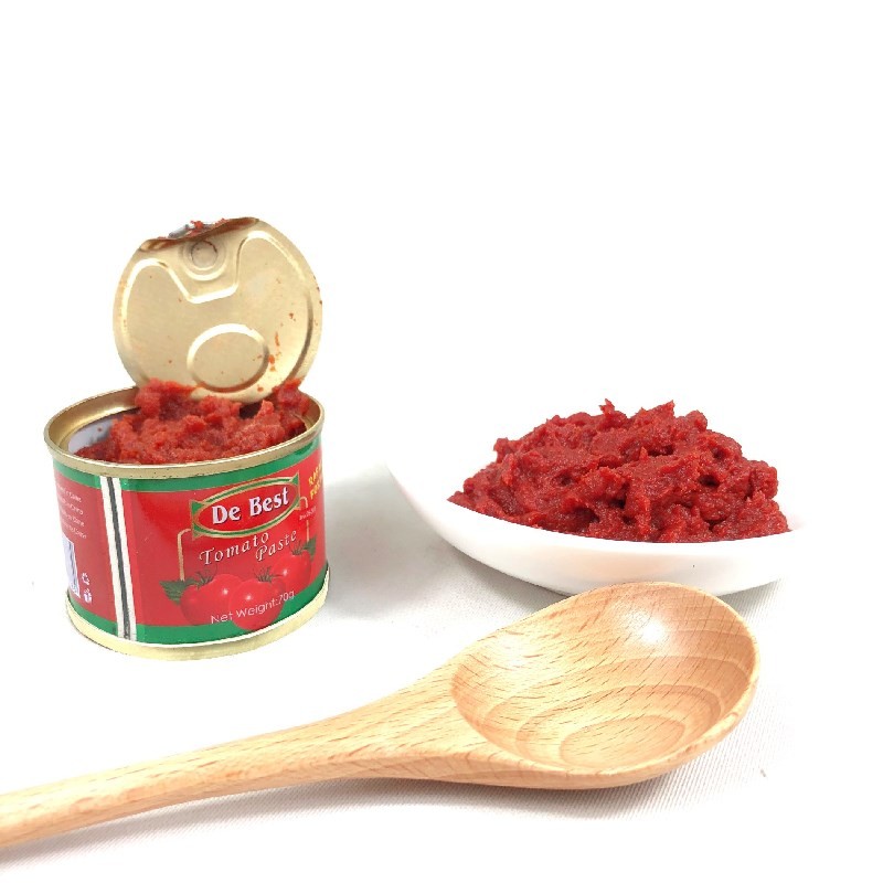 70g Canned Tomato Paste Tomato Sauce