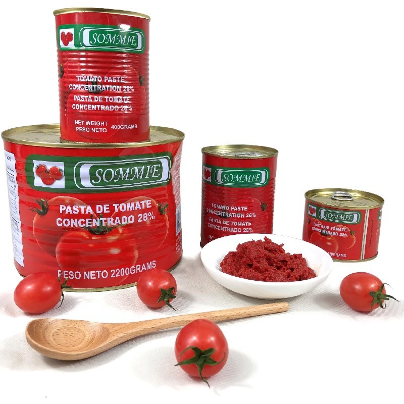 2200g de molho de tomate em pasta de tomate enlatado