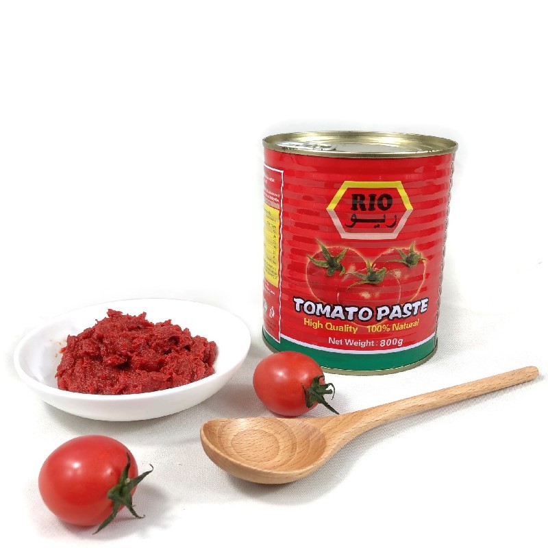 800g de molho de tomate em pasta de tomate enlatado
