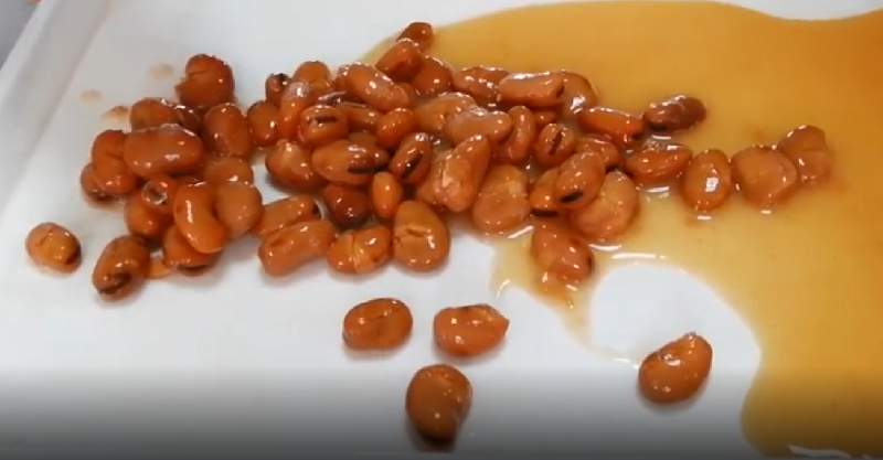 Saubohnen in Dosen Fava