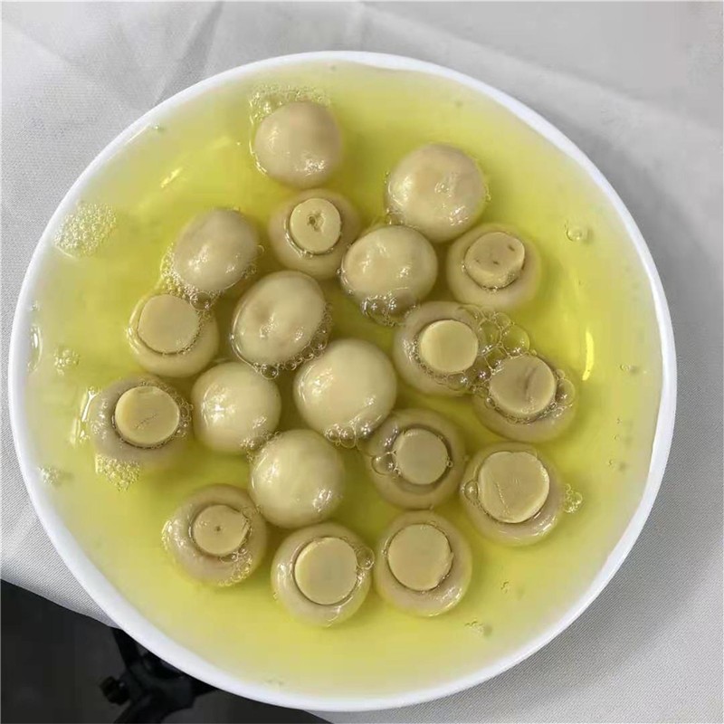 Champignons in Dosen, ganz, in Salzlake