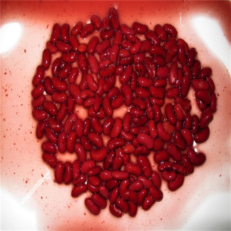 Canned Red Kidney Beans