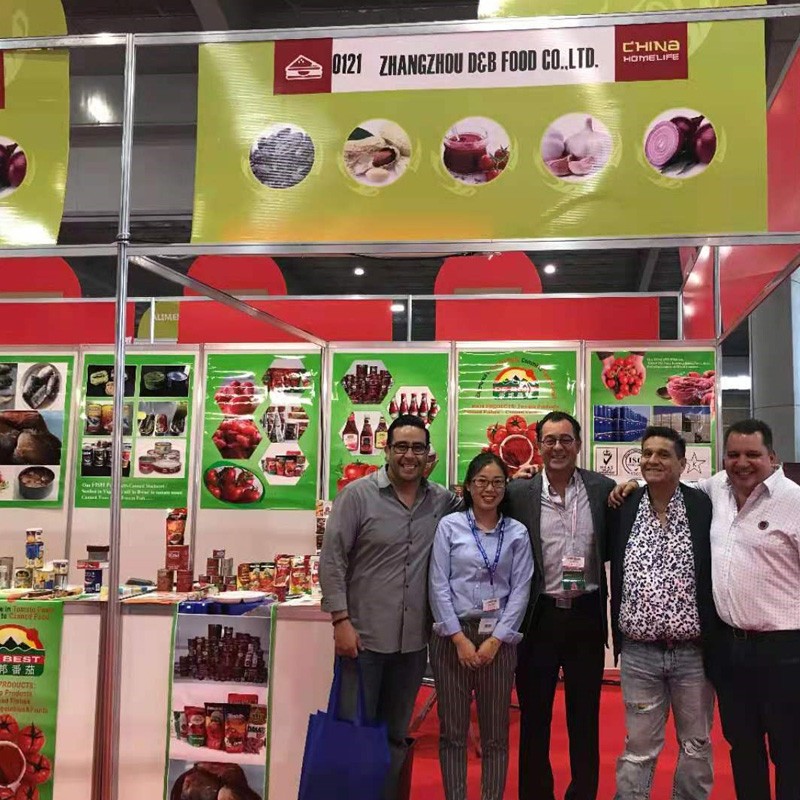 Торговая ярмарка Китай Домашняя жизнь в Мексике