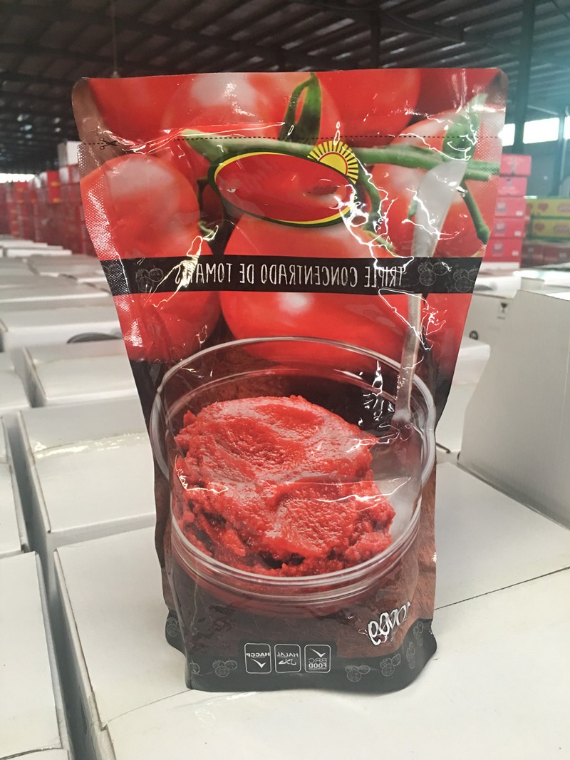 Sachet de 1000 g de concentré de tomates et de sauce tomate