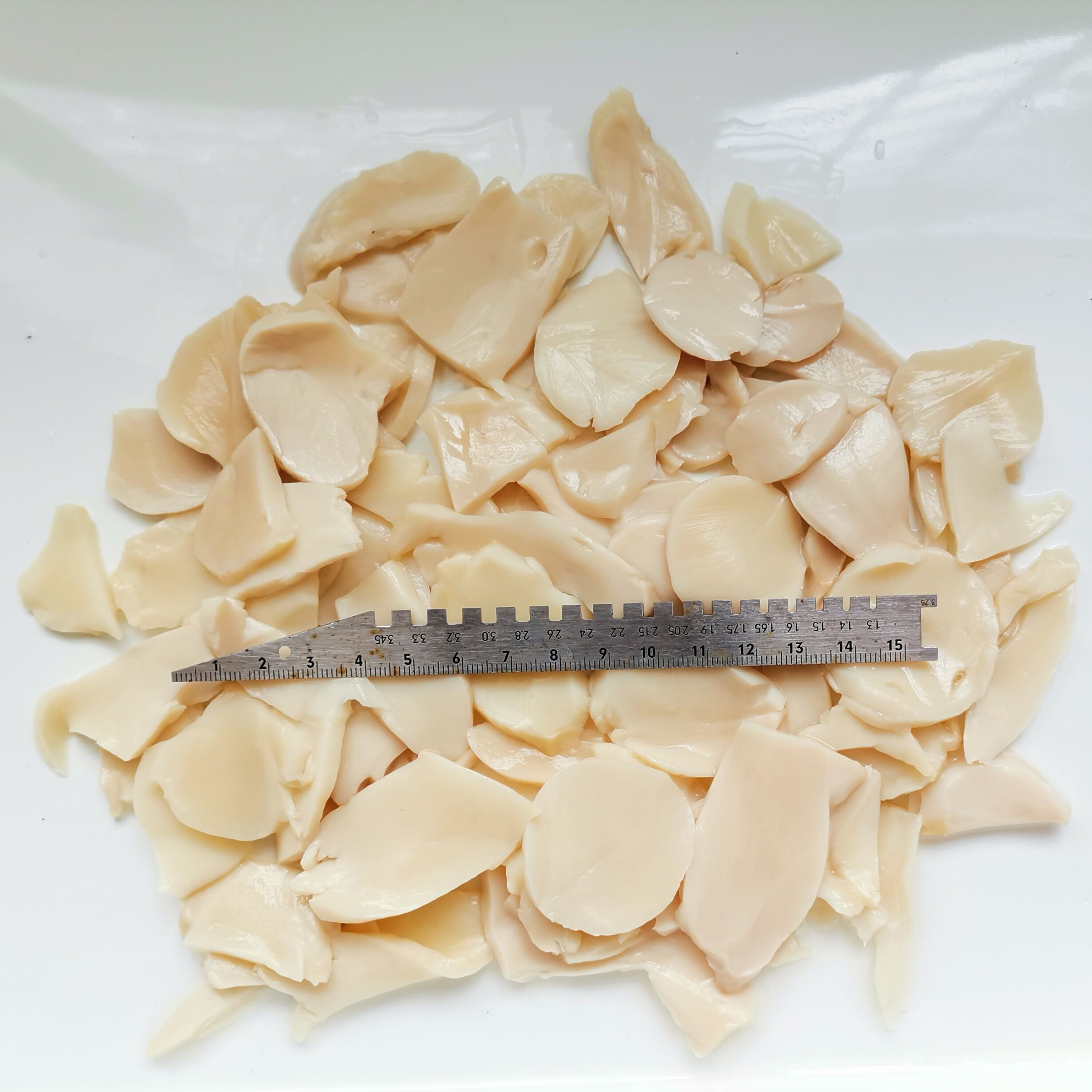 P&S-Pilze in Salzlake in Dosen