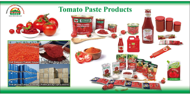 del monte tomato sauce sachet
