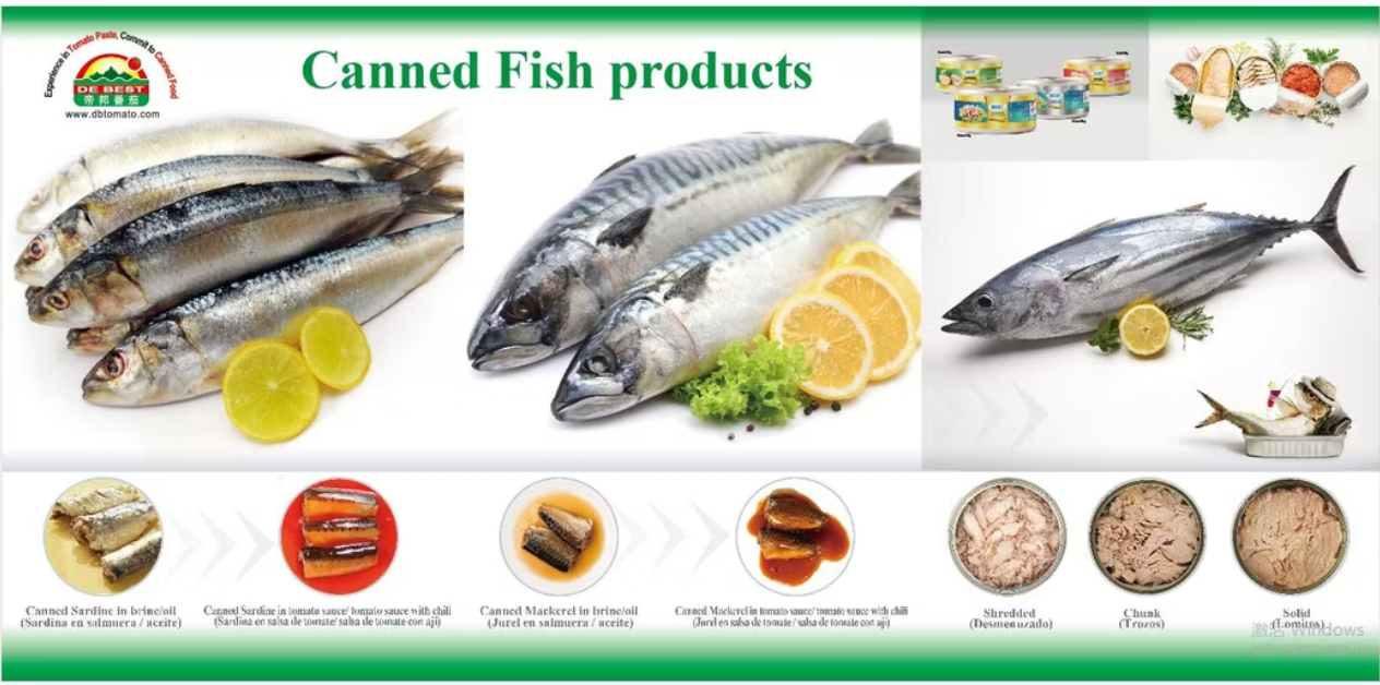 sardine canned fishes