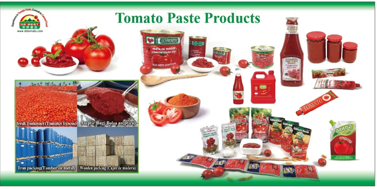 tomato sauce