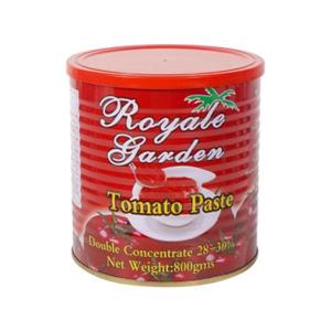 800g Canned Tomato Paste Best Price with Good Quality