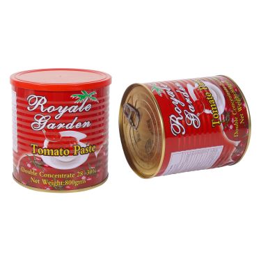 800g Canned Tomato Paste Best Price with Good Quality