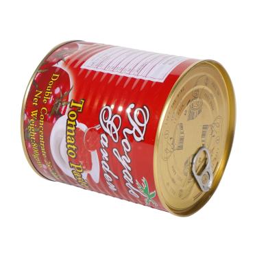 800g Canned Tomato Paste Best Price with Good Quality