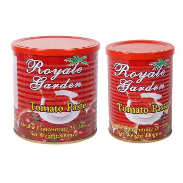 800g Canned Tomato Paste Best Price with Good Quality