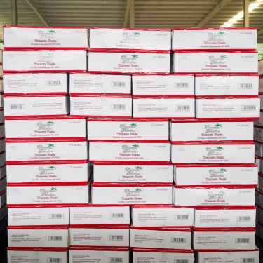 มะเขือเทศเข้มข้นพร้อมบรรจุภัณฑ์หลากหลายยี่ห้อ โออีเอ็ม