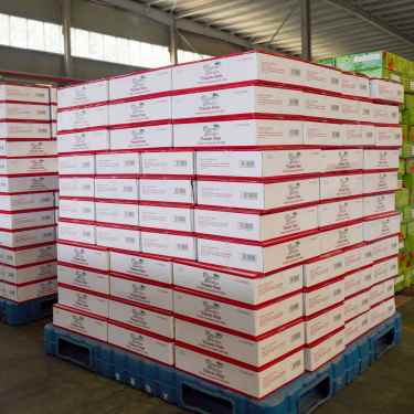 ซอสมะเขือเทศบิกซ์หลากหลายยี่ห้อ พร้อมแพ็คเกจหลากหลายยี่ห้อ โออีเอ็ม