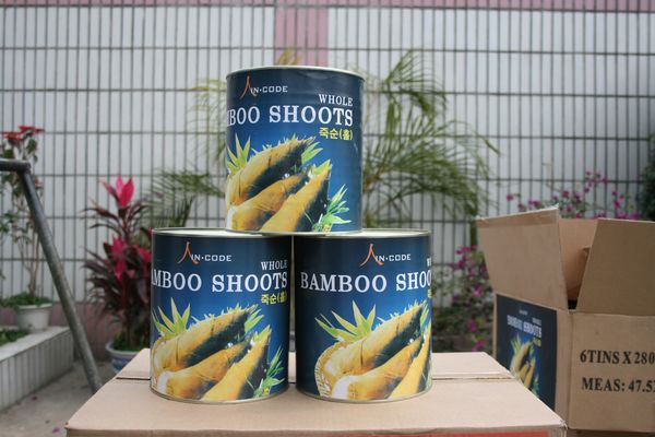 Hot Selling Canned Slice Bamboo Shoots in Brine
