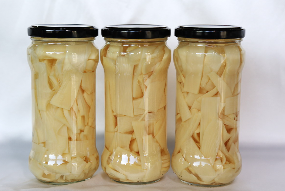 Hot Selling Canned Slice Bamboo Shoots in Brine