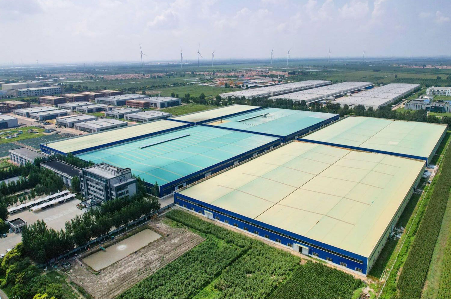 DB TOMATO (XIAMEN) INDUSTRY CO.,LTD.