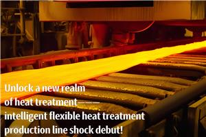 지능형 메쉬 벨트로 열처리 생산 라인 - 대량 생산을 위한 이상적인 선택