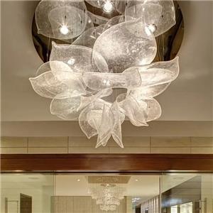Contemporary Flush Mounted Ceiling Lights Fixtures from China manufacturer