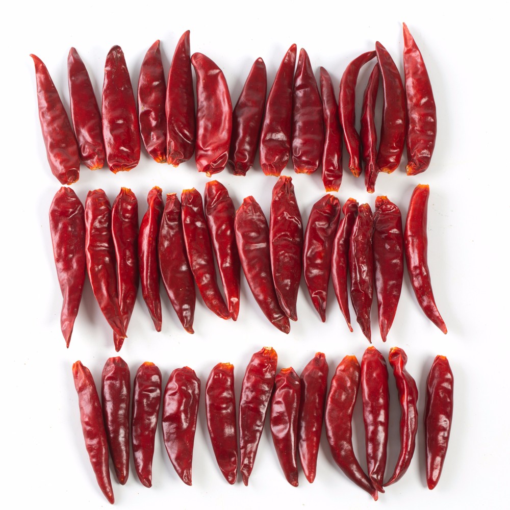 Chaotian Chilli Stemless