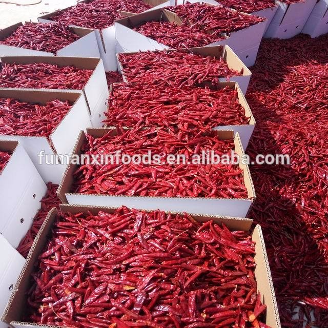 Chaotian Chilli Stemless