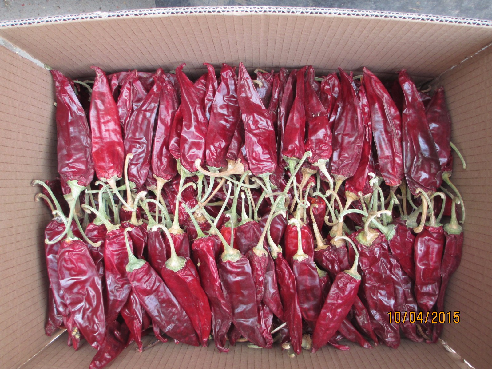 American Red Chilli
