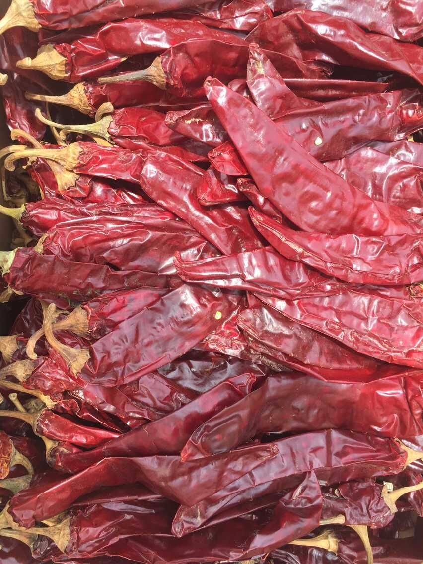 American Red Chilli