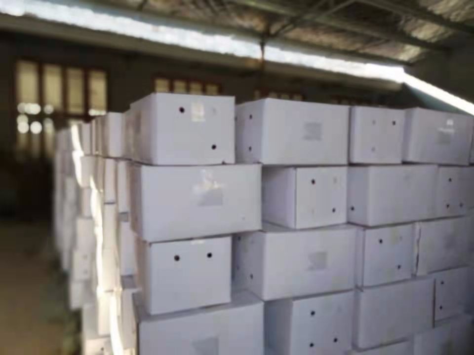 Paprika Powder Packing In Carton