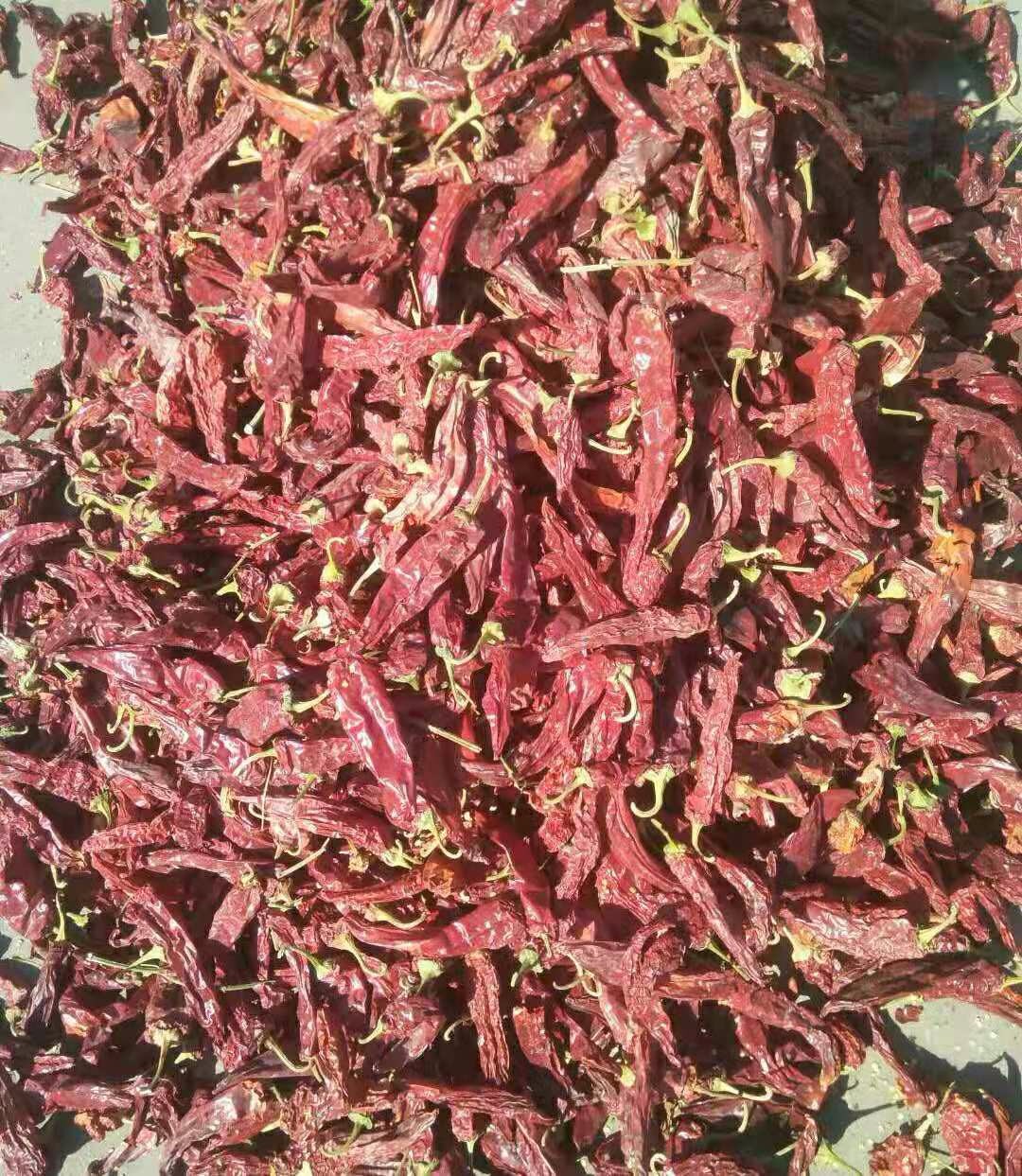 Paprika Pods With Stems Asta180
