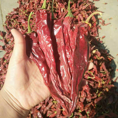 Paprika Pods With Stems Asta180