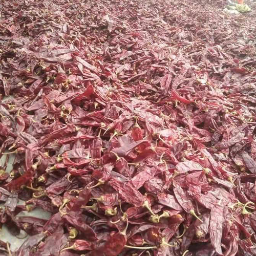 Whole Paprika Pods With Stems Asta200