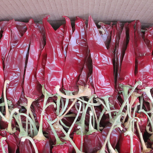 American Red Chilli