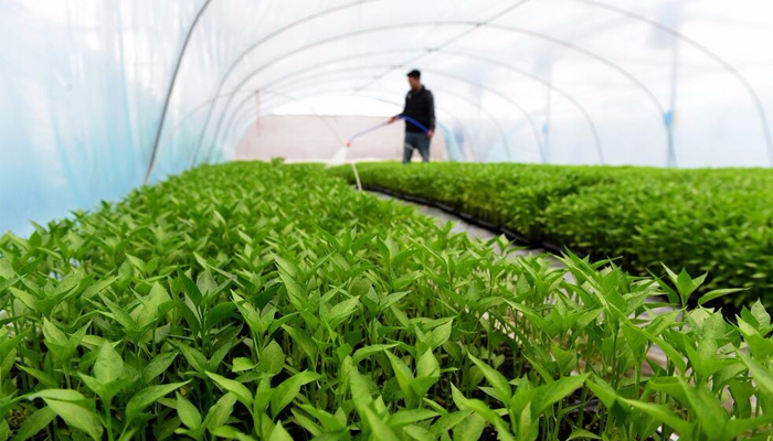 Raw material  traceability