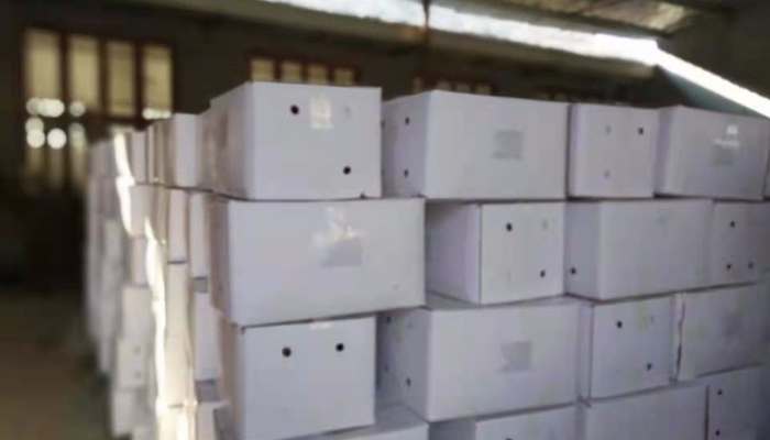 The fastest shipment for you