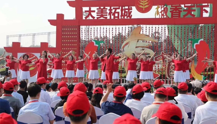 Social welfare activities