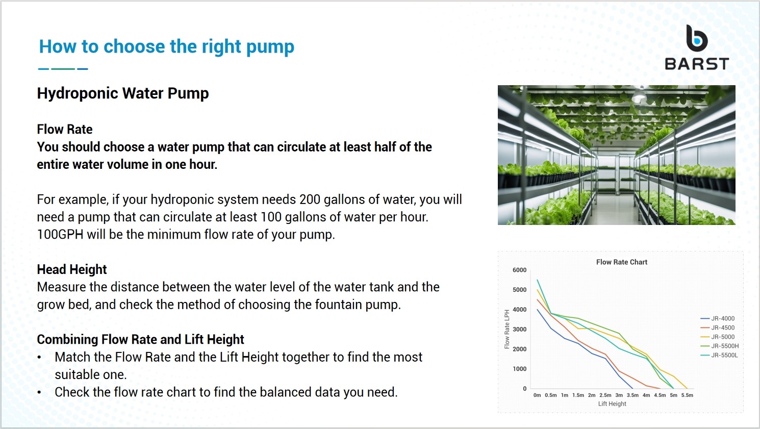 submersible pond pump