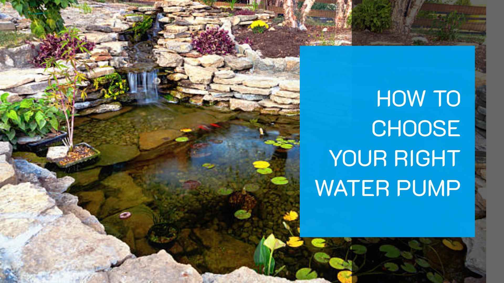 Како исправити пумпу за воду за рибњак, фонтану, акваријум и хидропонски систем?