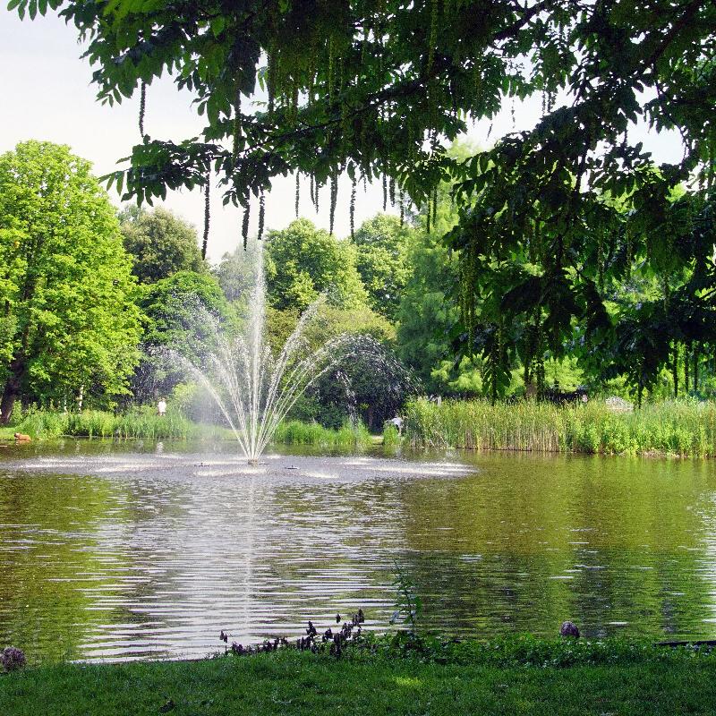 Projektowanie oczek wodnych i fontann zewnętrznych z wykorzystaniem pomp zanurzeniowych