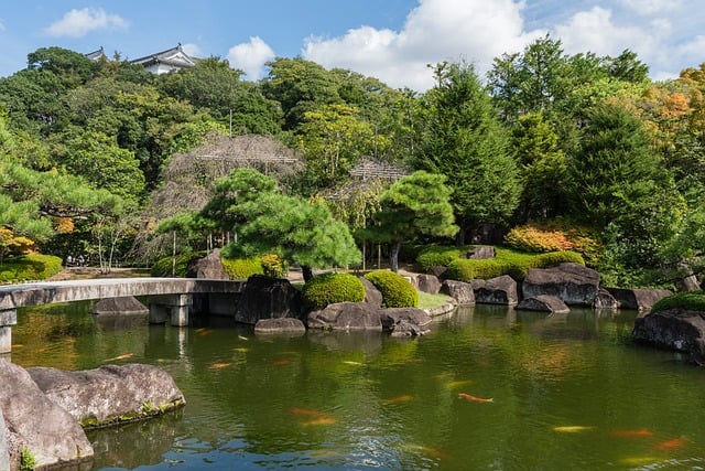 Акваријумски и хидропонски системи покретани компактним воденим и ваздушним пумпама