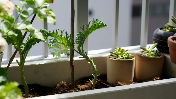 Ежедневна стабилност и практическо използване на помпи в домашни аквариуми и хидропонни пространства