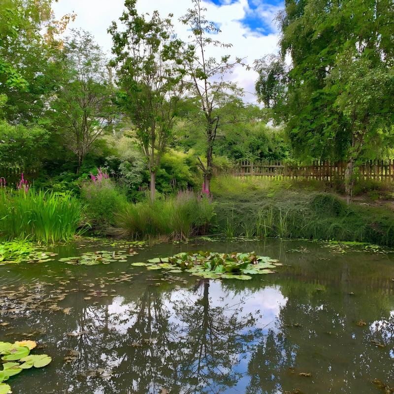 Hogyan válasszuk ki a legjobb hidroponikus szivattyút, akváriumszivattyút és vízszivattyút a mindennapi használatra?