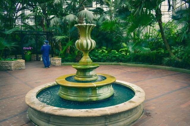 Amit tanultam egy kis akvárium és beltéri növényrendszer létrehozása után