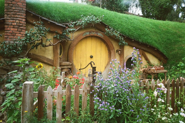 Kako je sčasoma postalo lažje upravljati moj notranji akvarij in postavitev rastlin