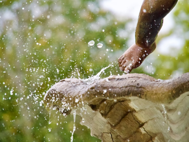 Защо стабилната работа на помпата е по-важна от сложността в домашните аквариуми и хидропониката на закрито