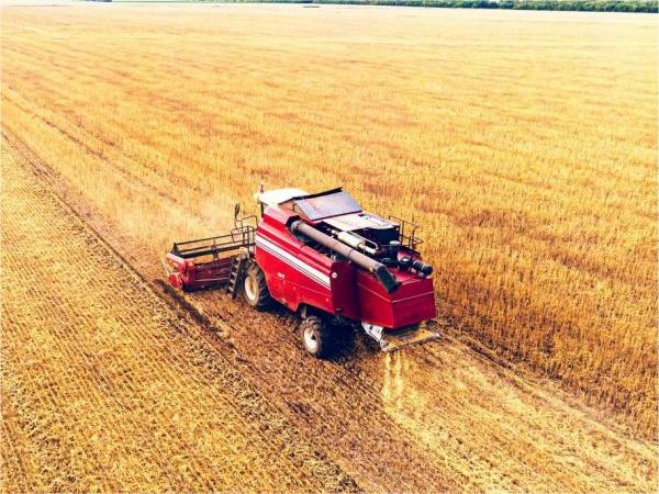 Produsele noastre agricole de turnare câștigă încredere globală