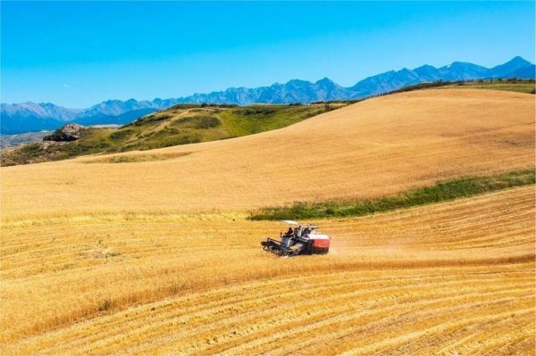 Materiale premium, calitate excelenta