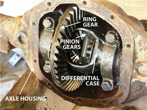 Differential, An Important Part Of The Automotive Machine