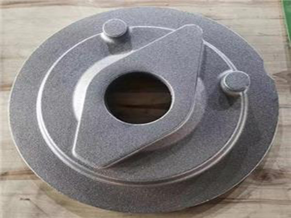 Nuestra empresa ha logrado avances significativos en cooperación con Kubota Company en Japón.