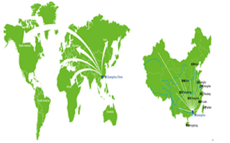 Sales Area and  Amount